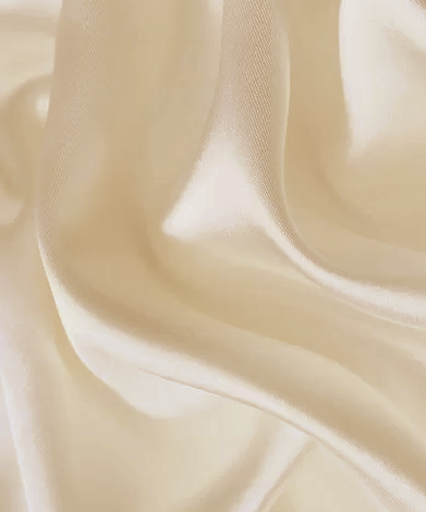 Zīda spilvendrāna Silk Champagne