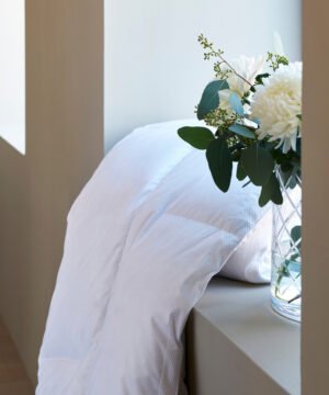 temprakon-home-by-tempur-sega-elite-videe