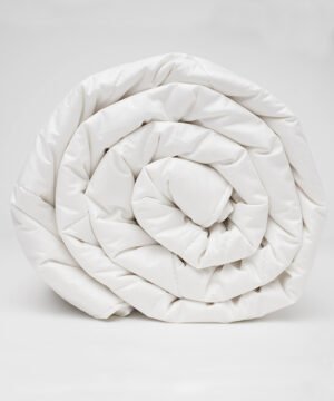 w-zida-sega-ziema-sarulleta