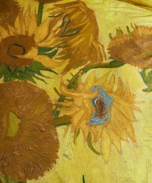 satina-gultas-vela-tournesol-yellow-raksts